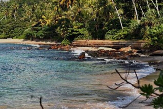 Sri Lanka Discovery: From Temples to Shores